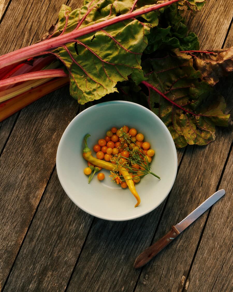 230811_melanie-zechmeister_3556