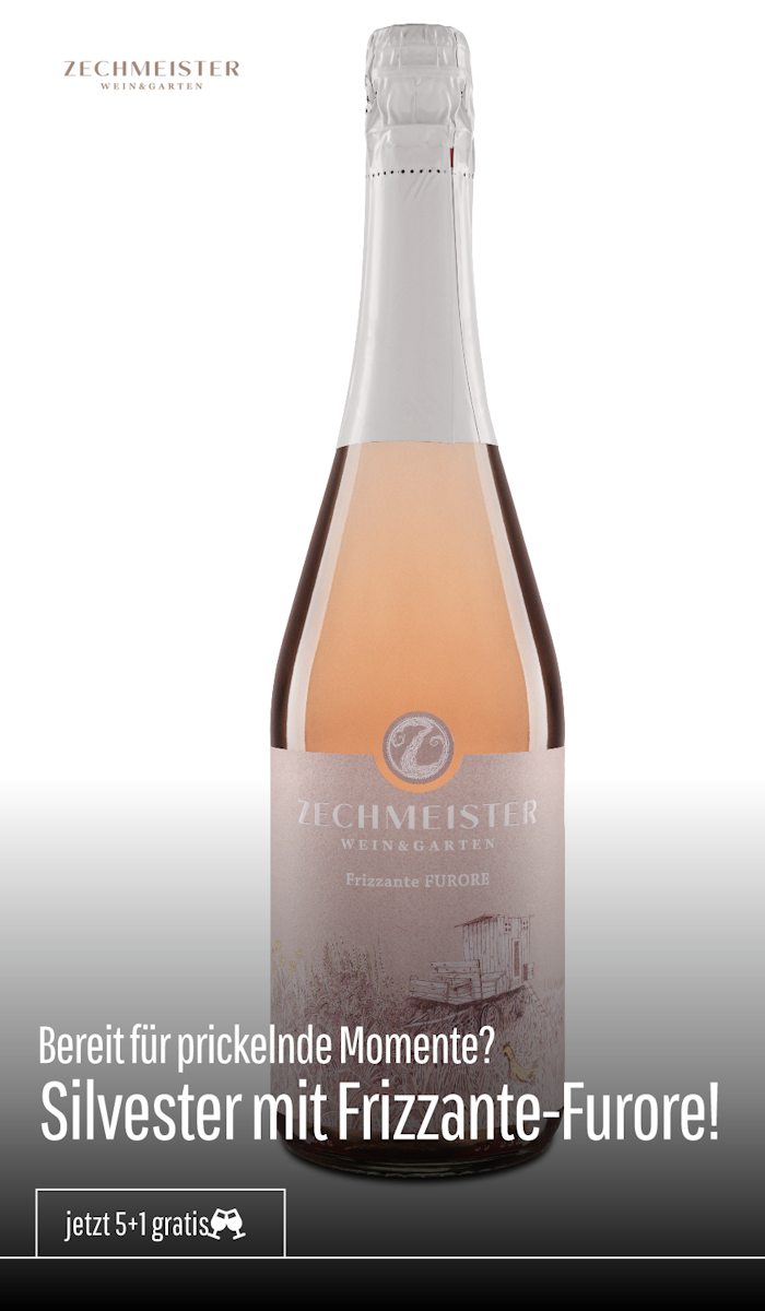 Frizzante 5+1 Aktion