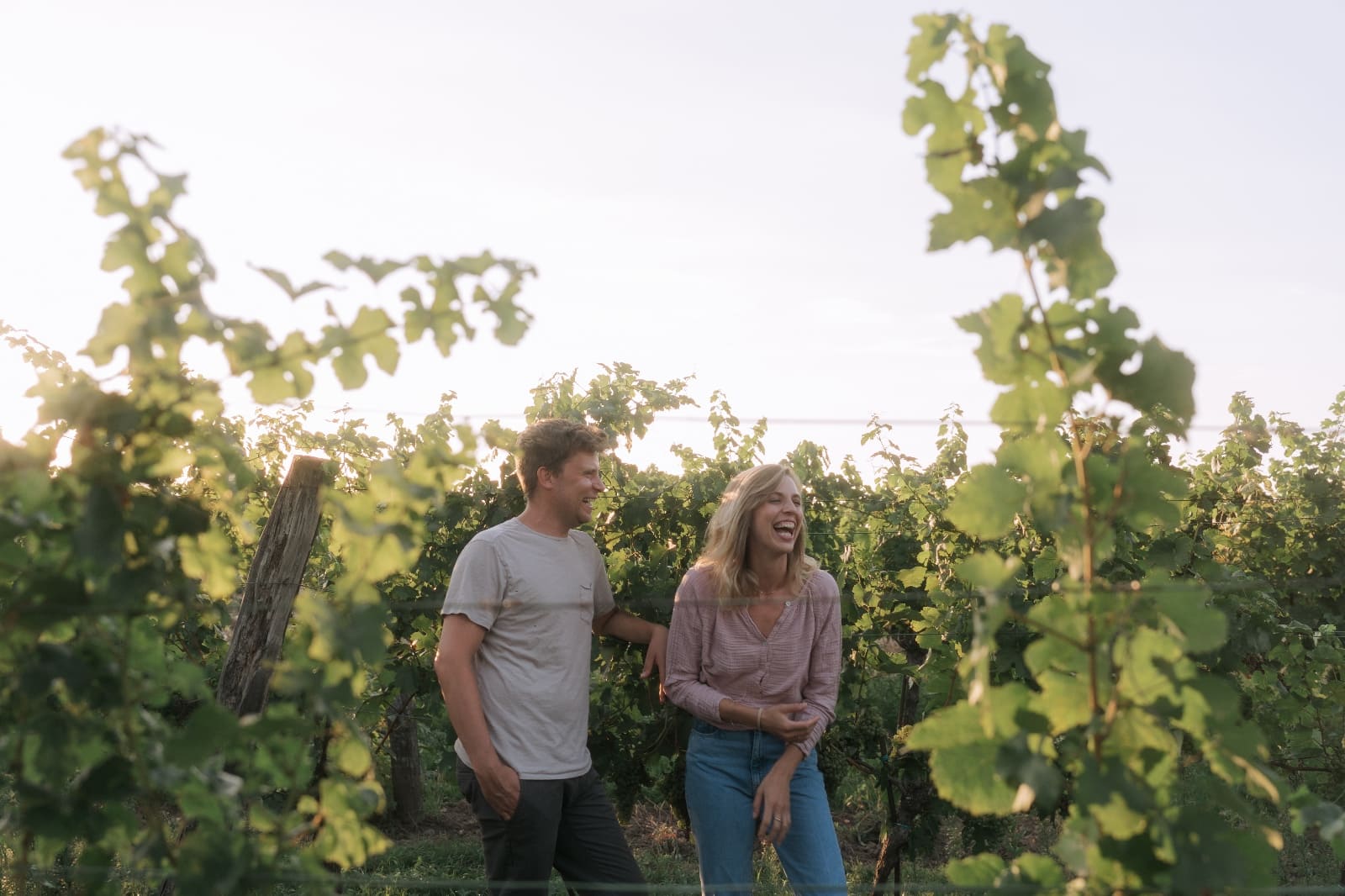 Beitrag Aktuelles vom Weingut